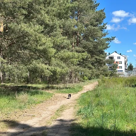 Apartamento Zofia *